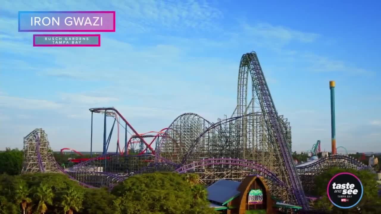 Iron Gwazi opens March 11 at Busch Gardens Tampa Bay | Taste and See Tampa Bay