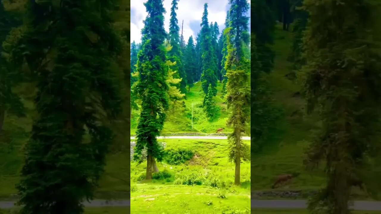 Subscribe for more #shortvideos #shortvideos #travel #kashmir #viral