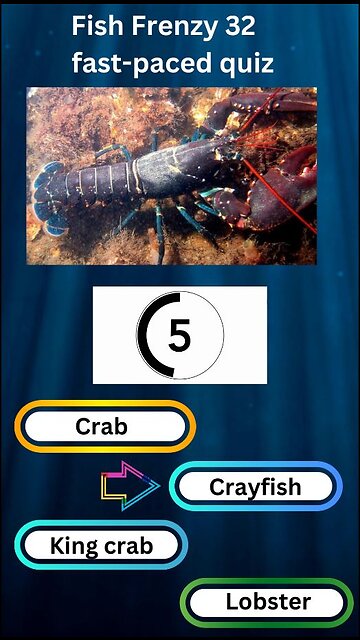Fish Frenzy 32 A fast-paced quiz