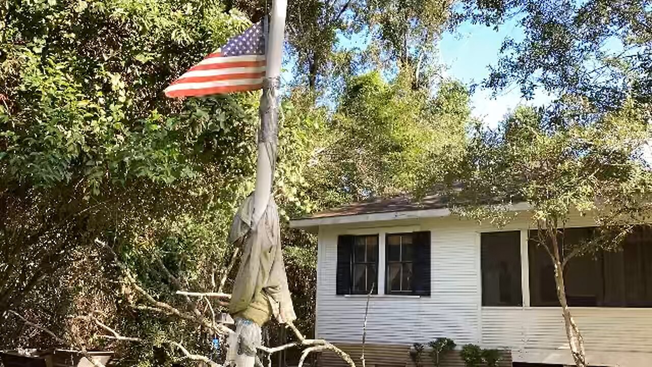 Cutting a Tree for a 2020 STIHL Chainsaw