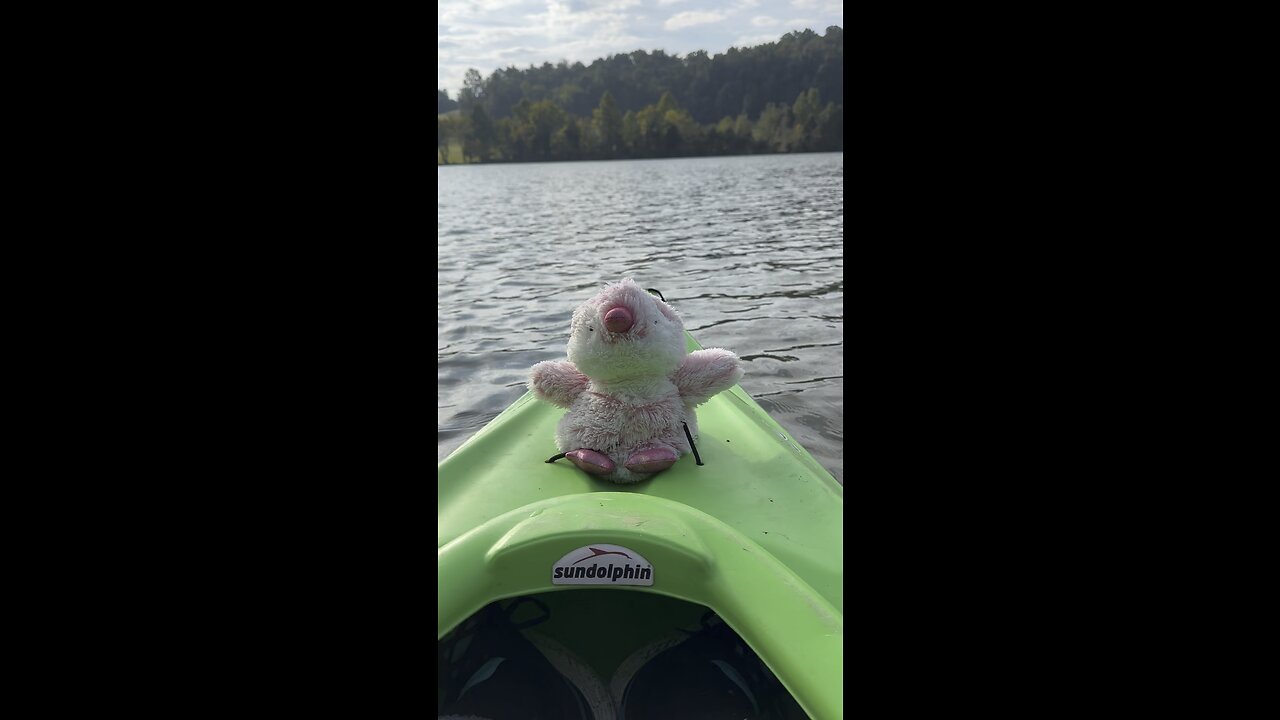 Spoingus canoeing on the clinch river, Kingston, Tennessee, 9/21/2023