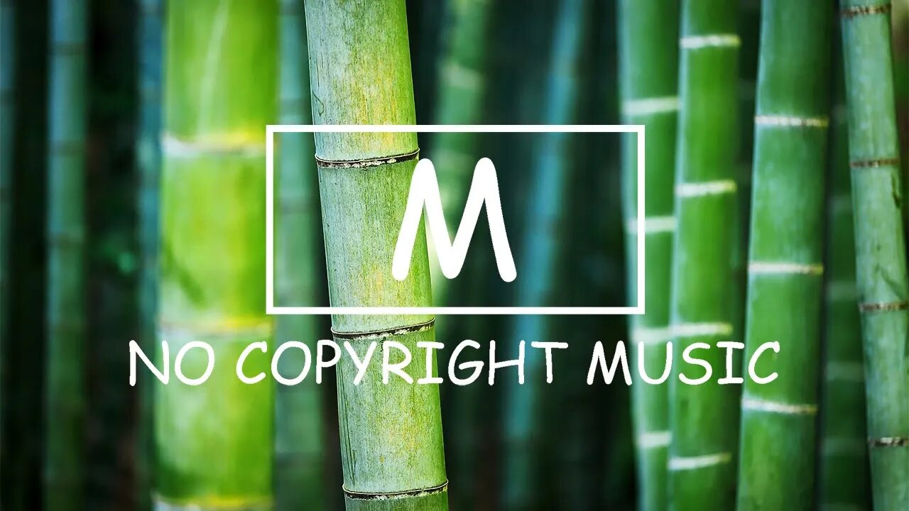 Cjbeards - Raindrops（Mm No Copyright Music）