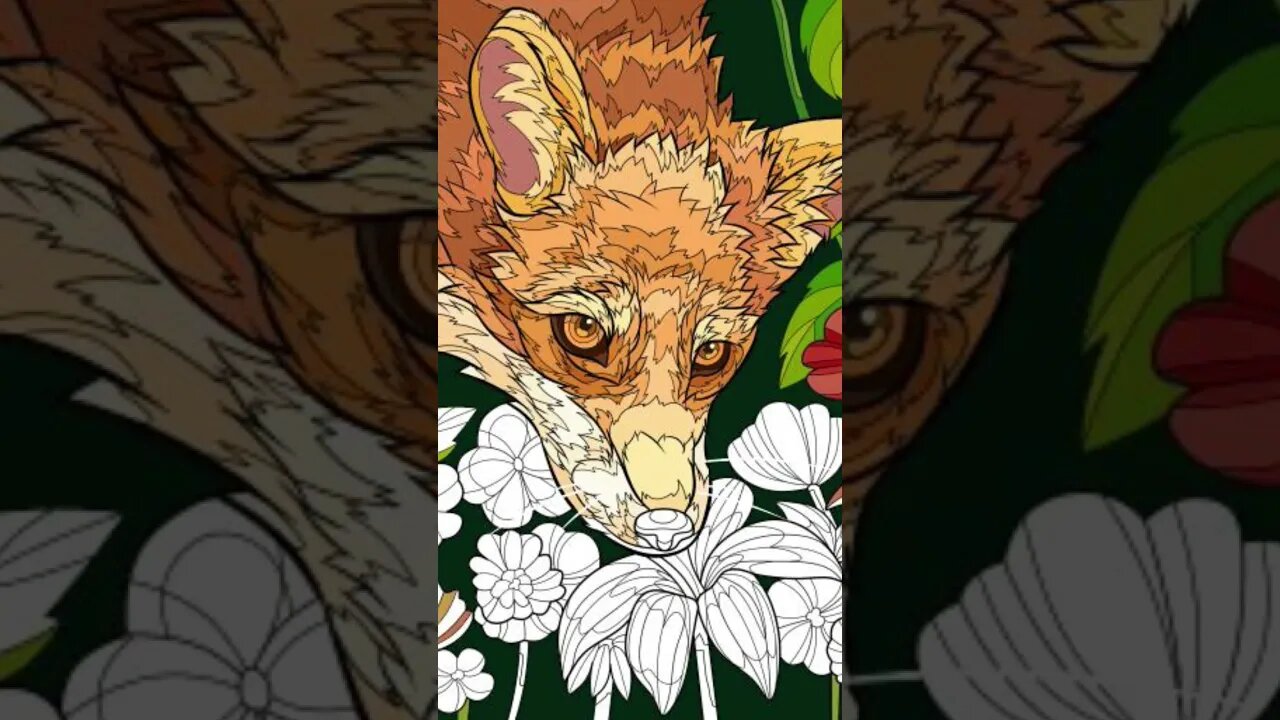 Here is a fox