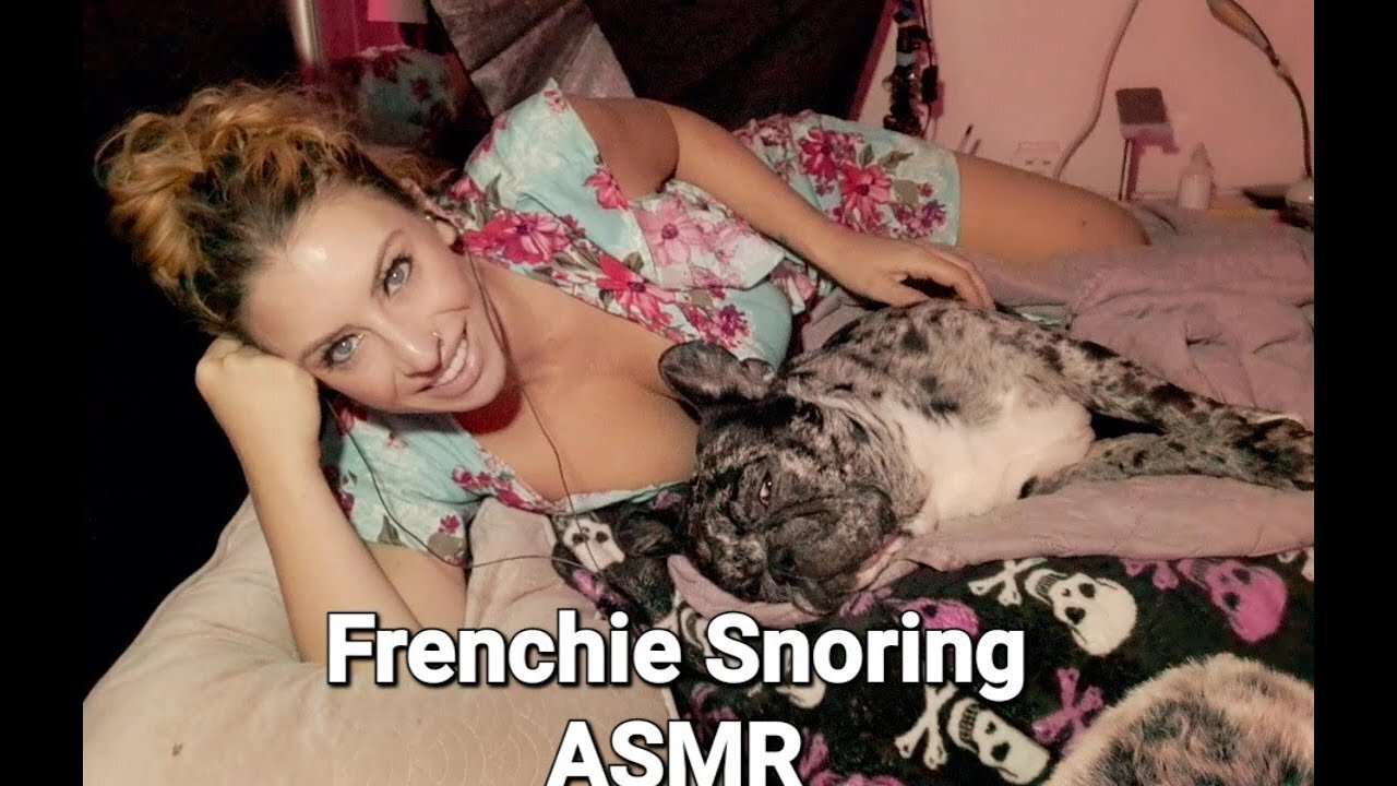 Frenchie Snoring ASMR