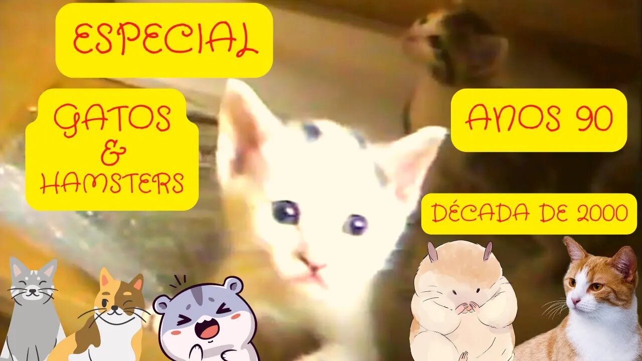 Gatinhos e Hamsters fim dos anos 90 e começo dos anos 2000 VHS edição 2021