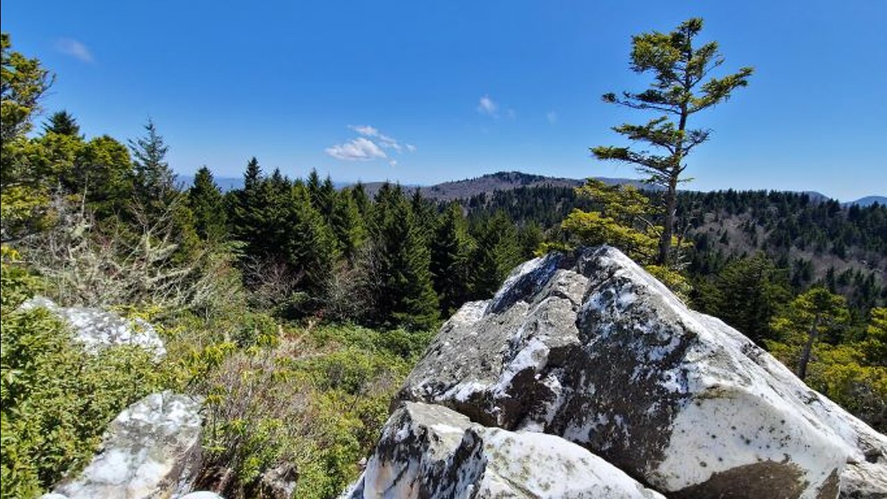 Day Hike to Shining Rock via The Art Loeb