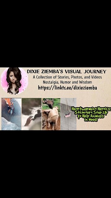 Heartwarming Heroics: Strangers Step Up to Help Animals in Need!