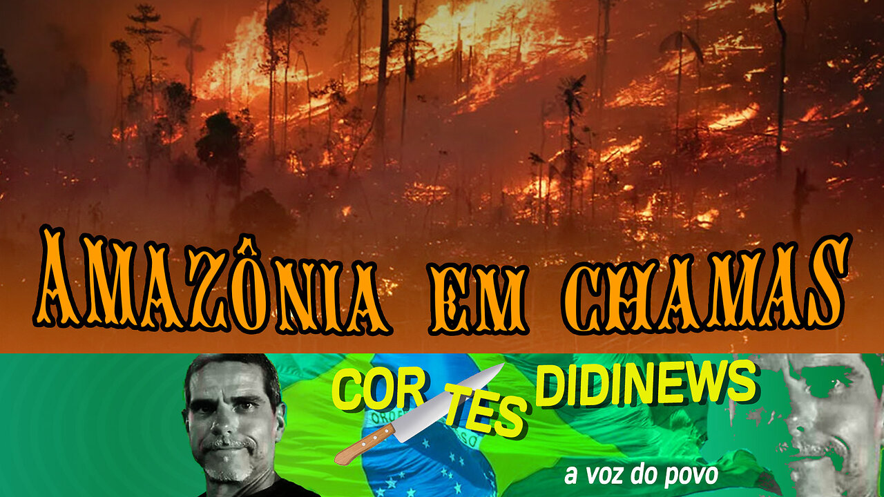 Amazônia em chamas