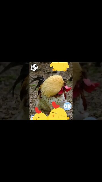 Chicken Emojis #Shorts 🌻