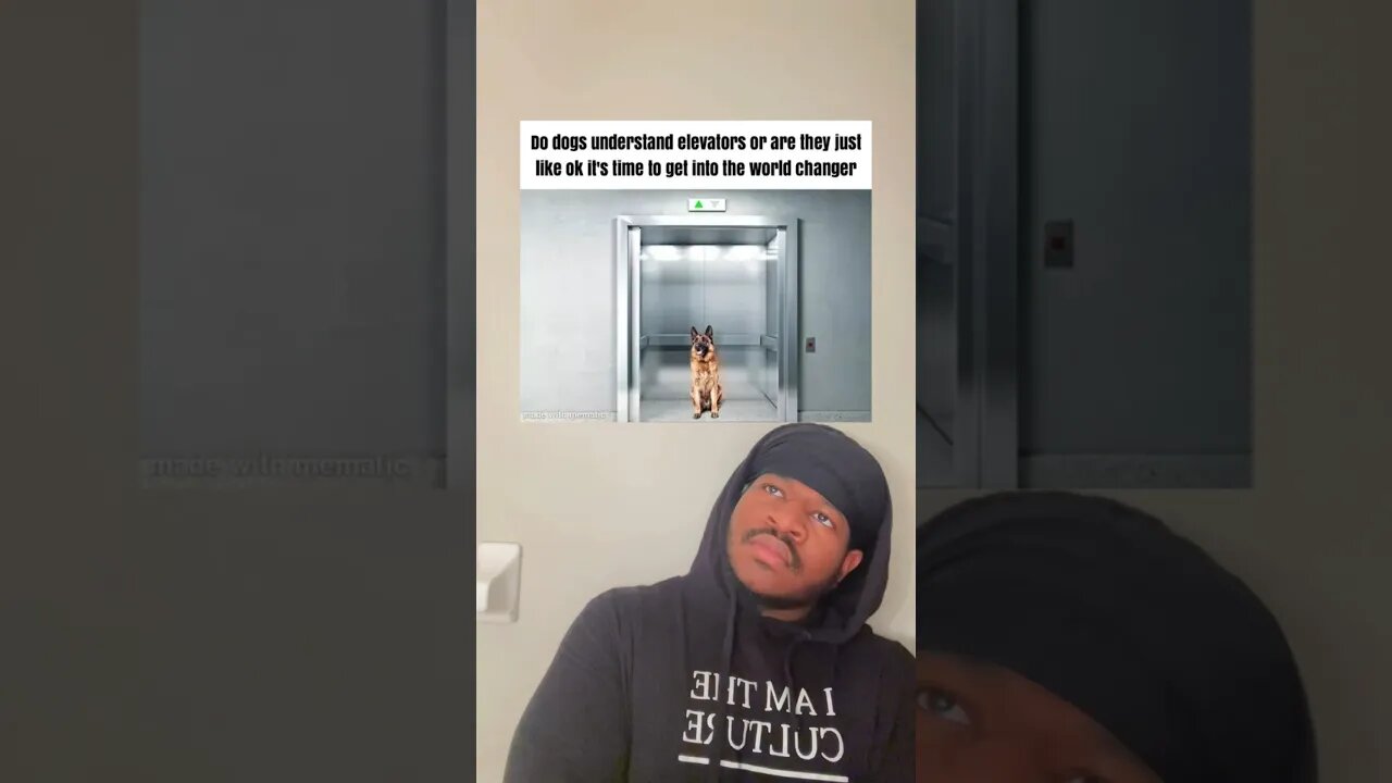 Your Daily Dose Of Memes