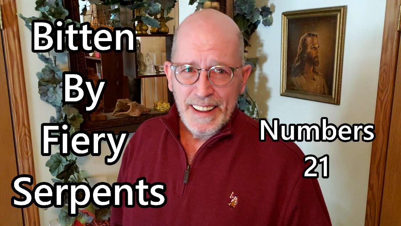 Bitten By Fiery Serpents: Numbers 21