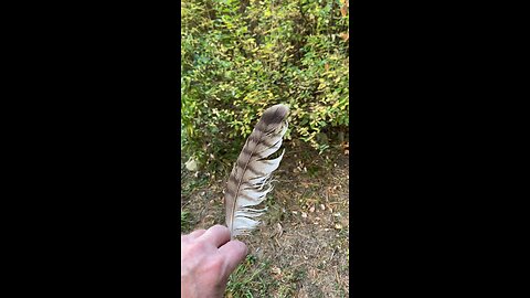 This is very special