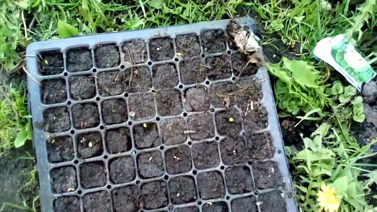 Garden Update May 18 2022 SOUNDFIXed Part 1