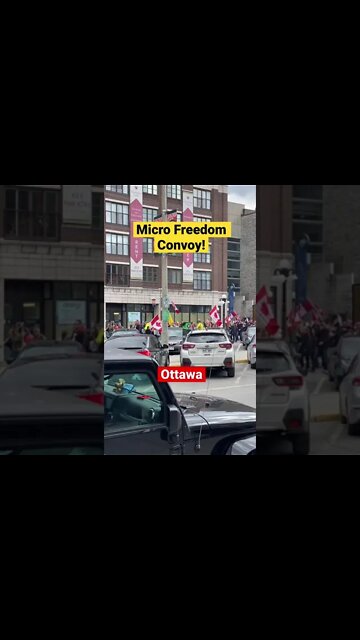 Stepped outside to be greeted by loud dance music and cries of #Freedom! #freedomconvoy #truckers