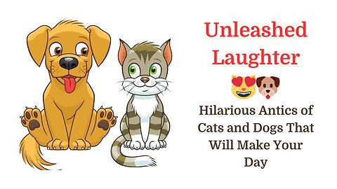 Funniest Animals 2024 😂