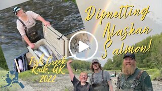 Dip Netting Alaskan Salmon July 2022 | Fish Creek KNIK Alaska￼ | Catching 52 Salmon | #fishing