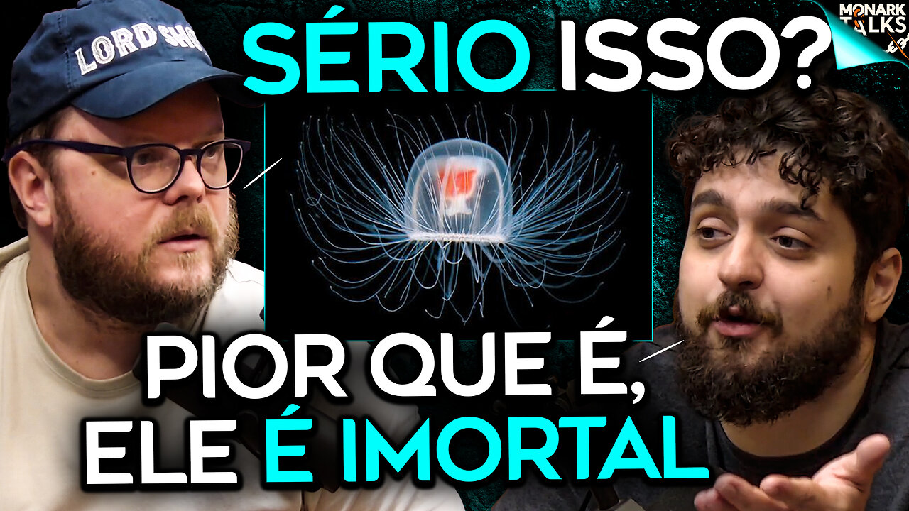 ANIMAL IMORTAL FOI DESCOBERTO NO OCEANO