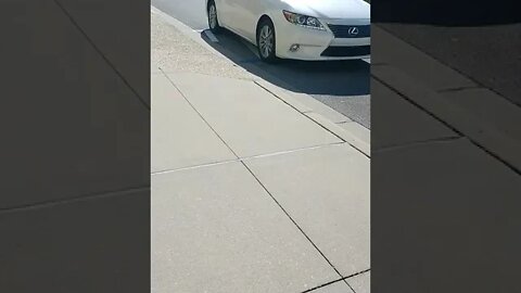 Gang Stalking Perp Walk 01/14/2022 Pt. 3