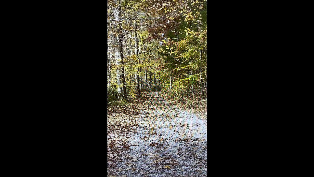 Fall On The Road