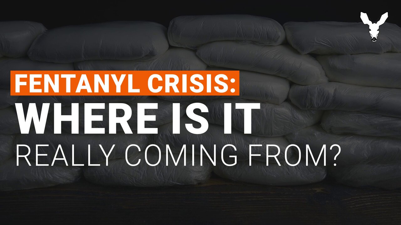 Fentanyl: Where is it Crossing the Border? 💊☠️💉