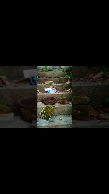 Farewell until next time great Spirits of the Springs!