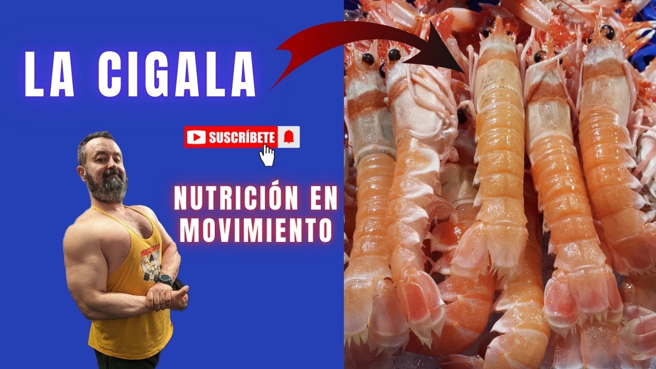 La cigala