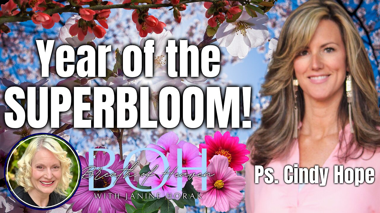 Year of the Superbloom | Cindy Hope