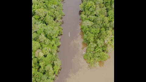 Nature Horizons - Amazon Rainforest # 4