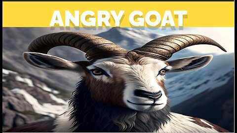 Angry goat