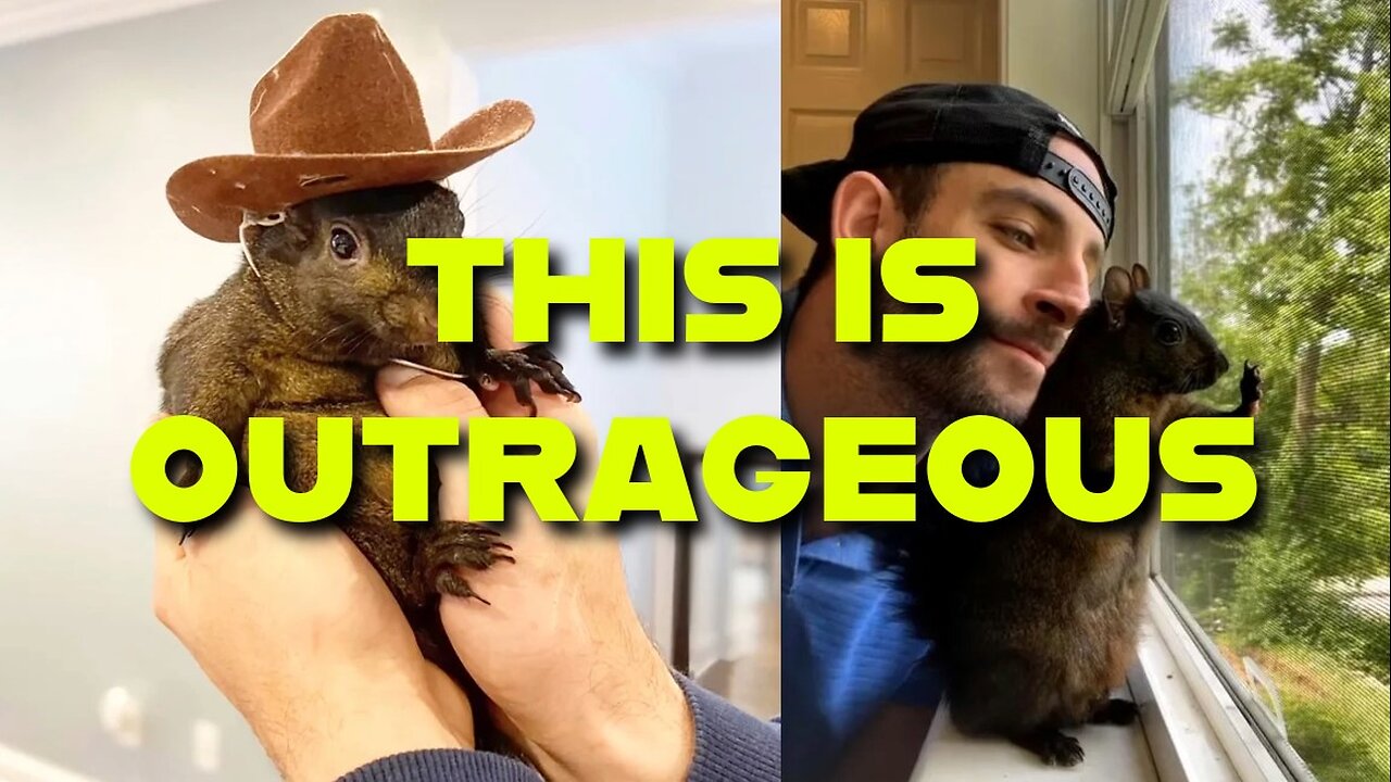 NY DEC K*LLS FAMOUS SQUIRREL