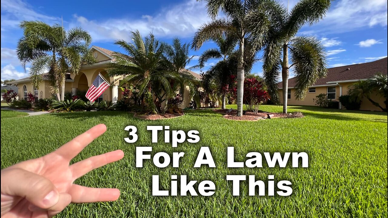 Florida (Winter) Lawn Care Tips