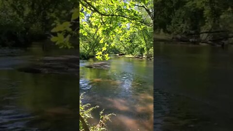 sweet relaxing river