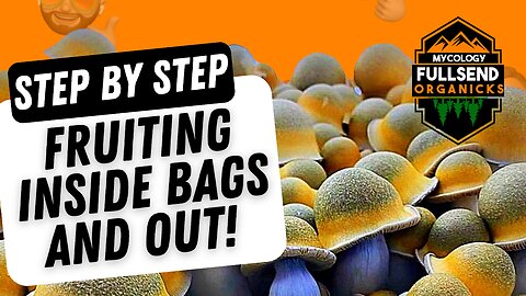 Start To Finish Fruiting Process! ShitMaster 1000 Mushroom Super Bag. Bags that do the work for you.