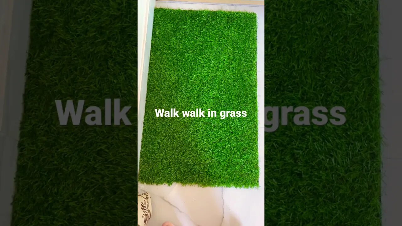#short #subscribe #beautiful #fun #walk
