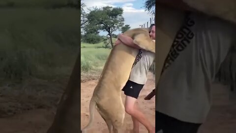 amizade verdadeira #shorts