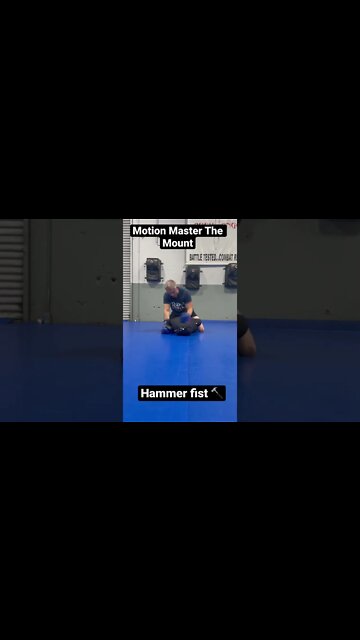 Motion Master Bag Workout Ground and Pound Hammer fist