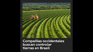 Compañías occidentales buscan controlar tierras en Brasil