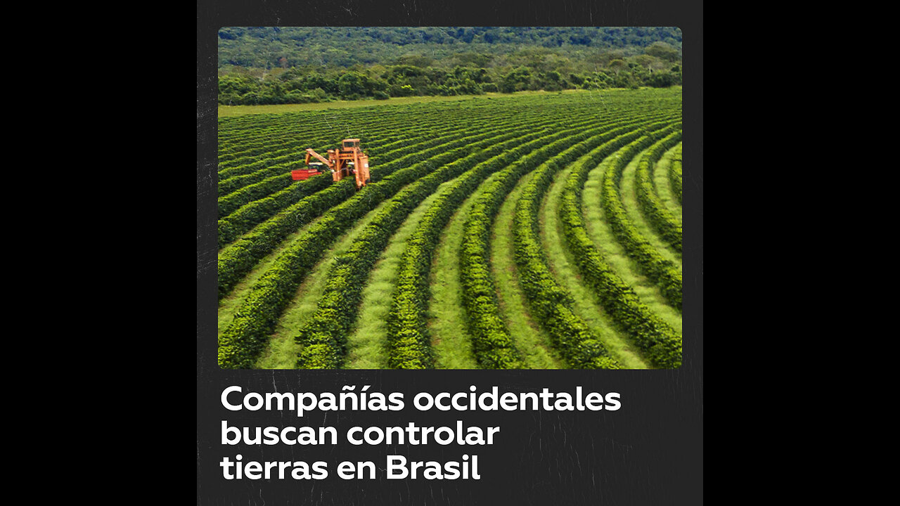 Compañías occidentales buscan controlar tierras en Brasil