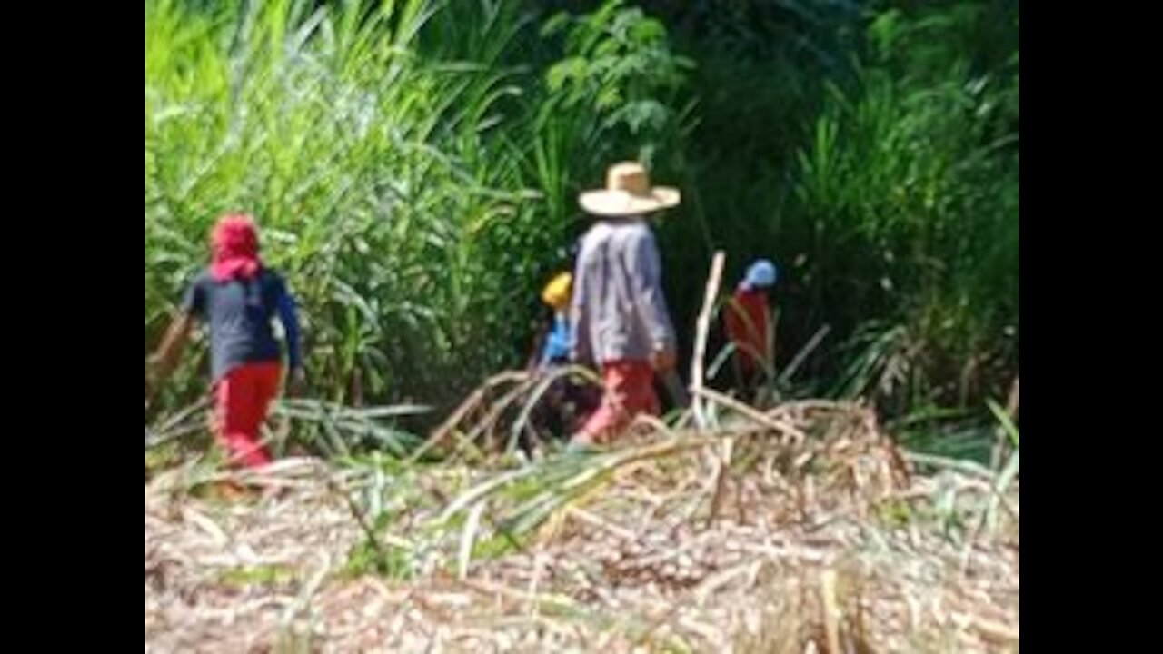 PREPARING TO LEAVE FOR THE FARM