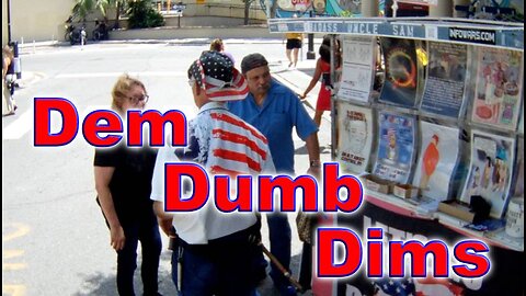 Dem Dumb Dims