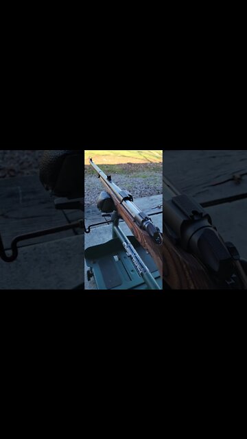 Elephant Gun at the Range #shorts