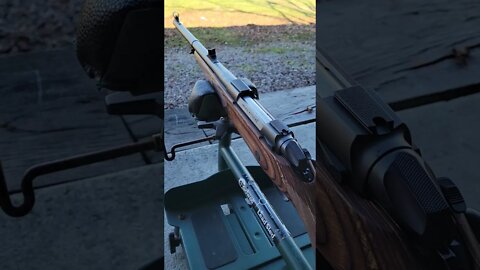 Elephant Gun at the Range #shorts