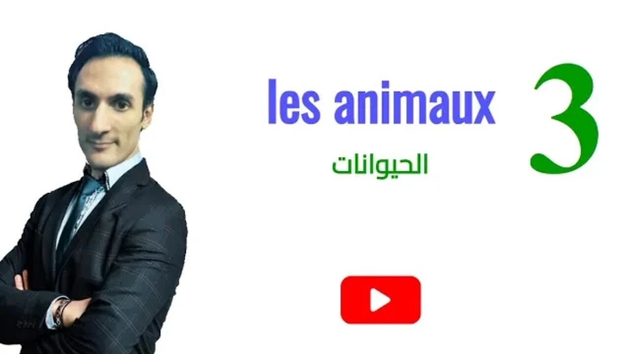 Les animaux (partie 3) - الحيوانات