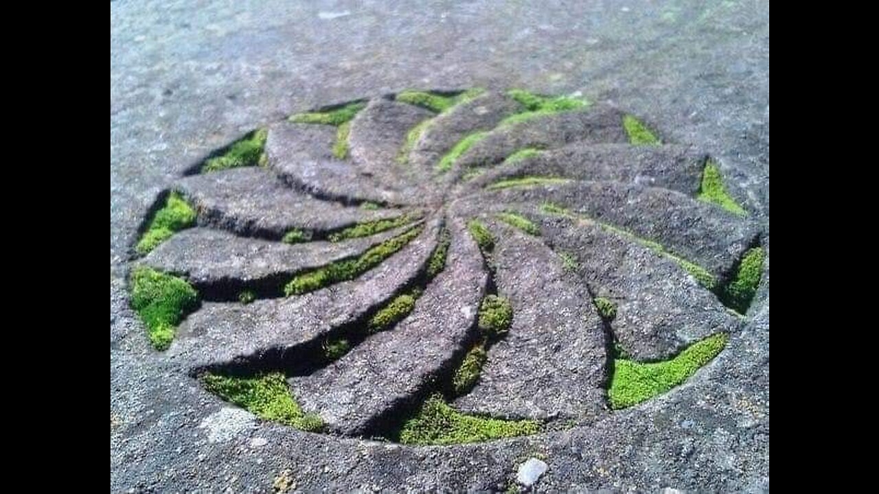 #TARTARIA