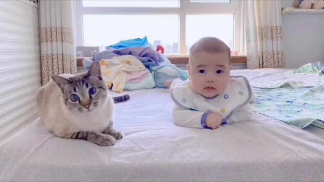 Kitty senses something different