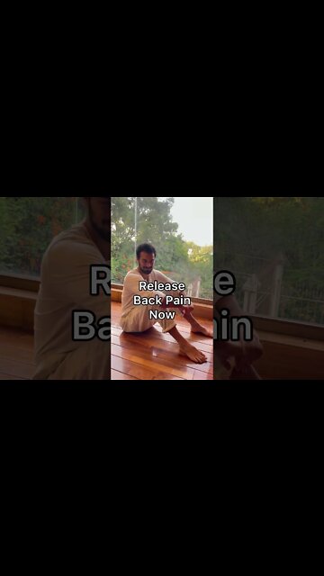 Release Back Pain Now