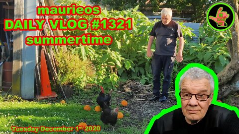 maurieos DAILY VLOG #1321 summertime