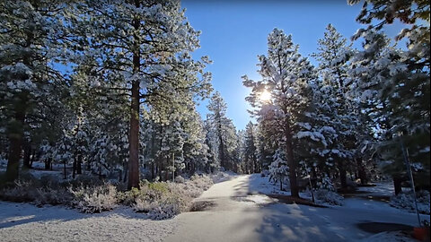 Fresh Mountain Snow in the Sierra Nevada's