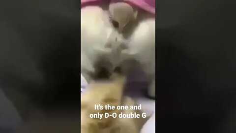 MEME is the one and only D-O double G #shorts