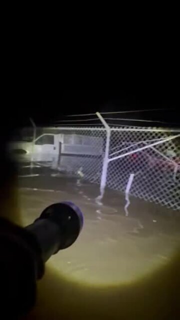 Group of people searching the area to help with rescue